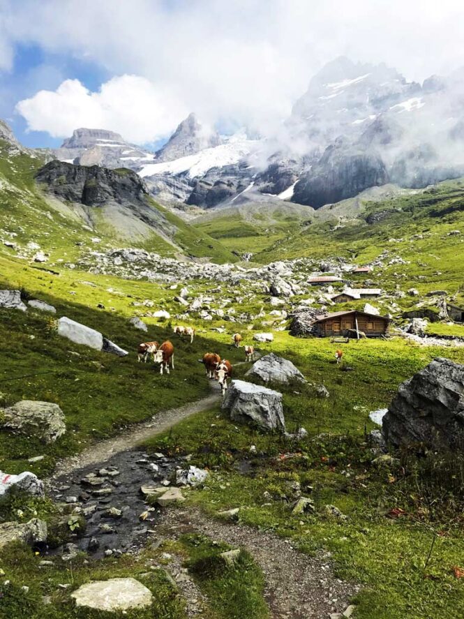 Oeschinensee Wanderung Traumhafte Aussicht Vom Heuberg