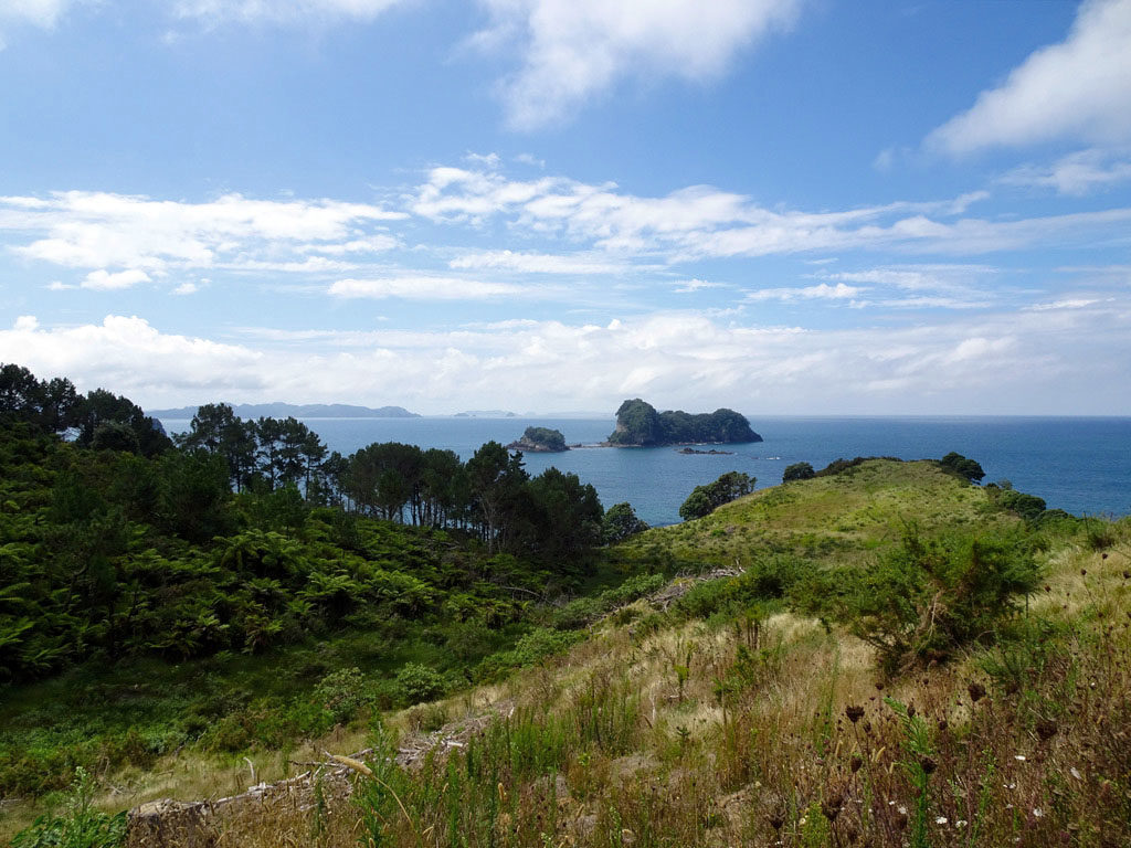 Coromandel Peninsula Wanderweg zur Cathedral Cove, Nordinsel Neuseeland
