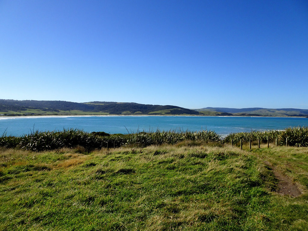 Blick auf die Purpoise Bay von den Curio Bay Cliffs, Catlins Neuseeland