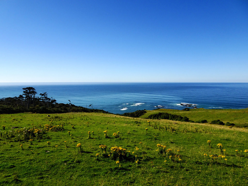 Ausblick vom Florence Hill Lookout, Catlins Neuseeland