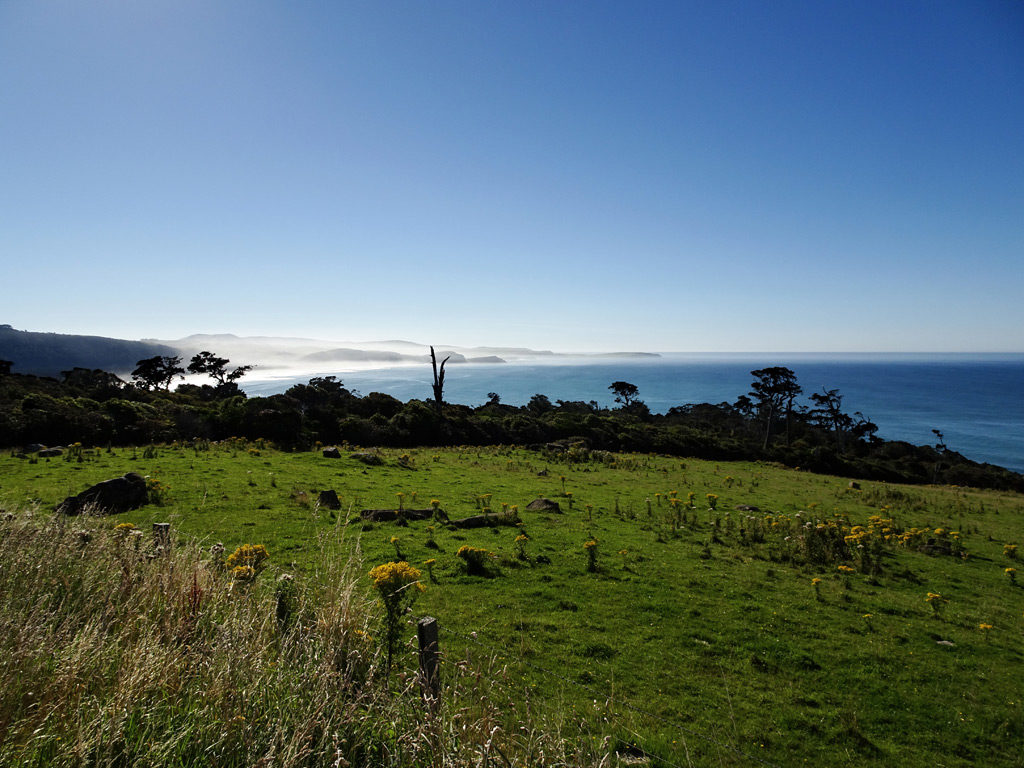Blick auf die Tahakopa Bay vom Florence Hill Lookout, Catlins Neuseeland