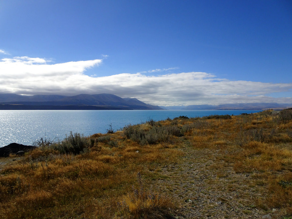 Aussichtspunkt am Lake Pukaki, Neuseeland
