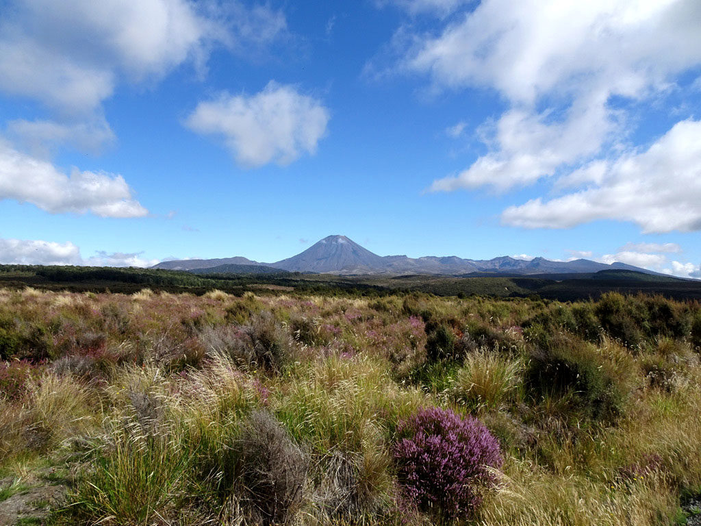 Mount Ngauruhoe, Nordinsel Neuseeland