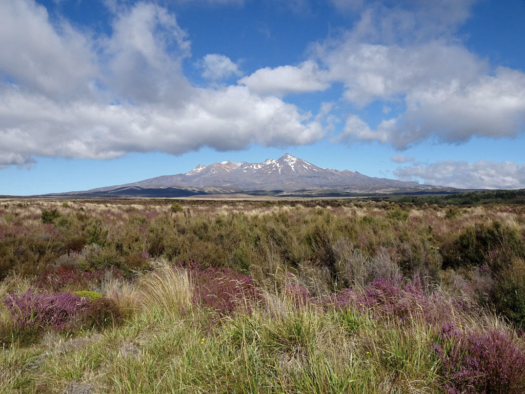 Mount Ruapehu, höchster Vulkan Neuseelands, Vergleich Neuseeland Nord- oder Südinsel