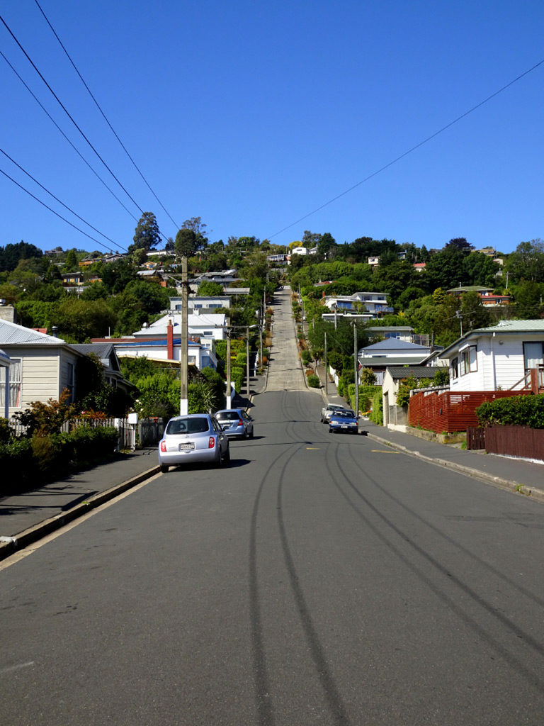 Die Baldwin Street in Dunedin ist die steilste Strasse der Welt.