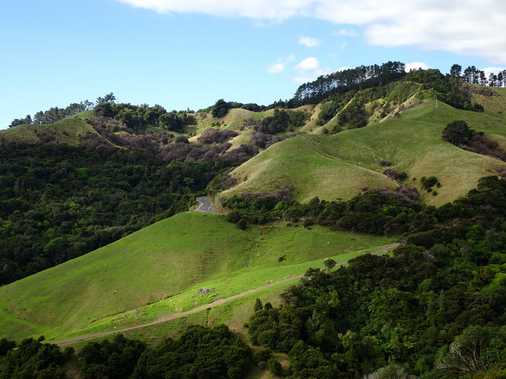 Hügeliges Gebiet auf der Coromandel Peninsula Neuseeland