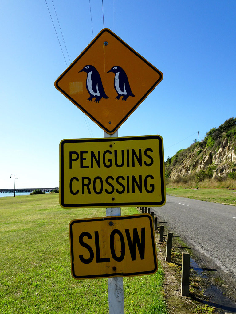 Penguins Crossing Schild, Autofahren Neuseeland