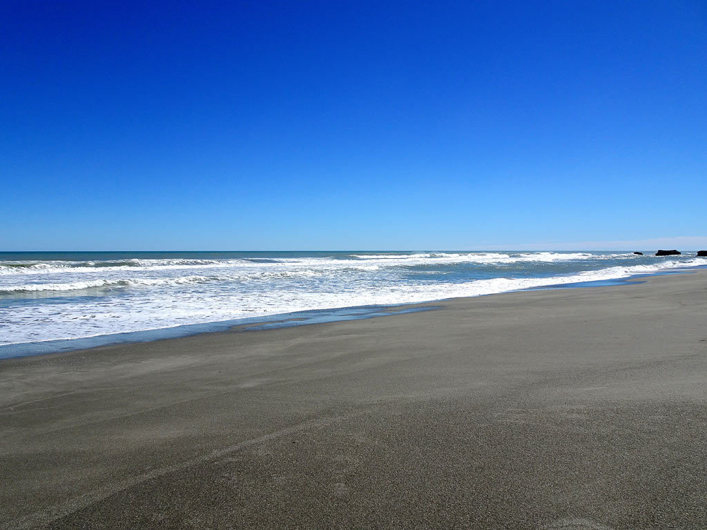 Strand an der Westküste Neuseelands