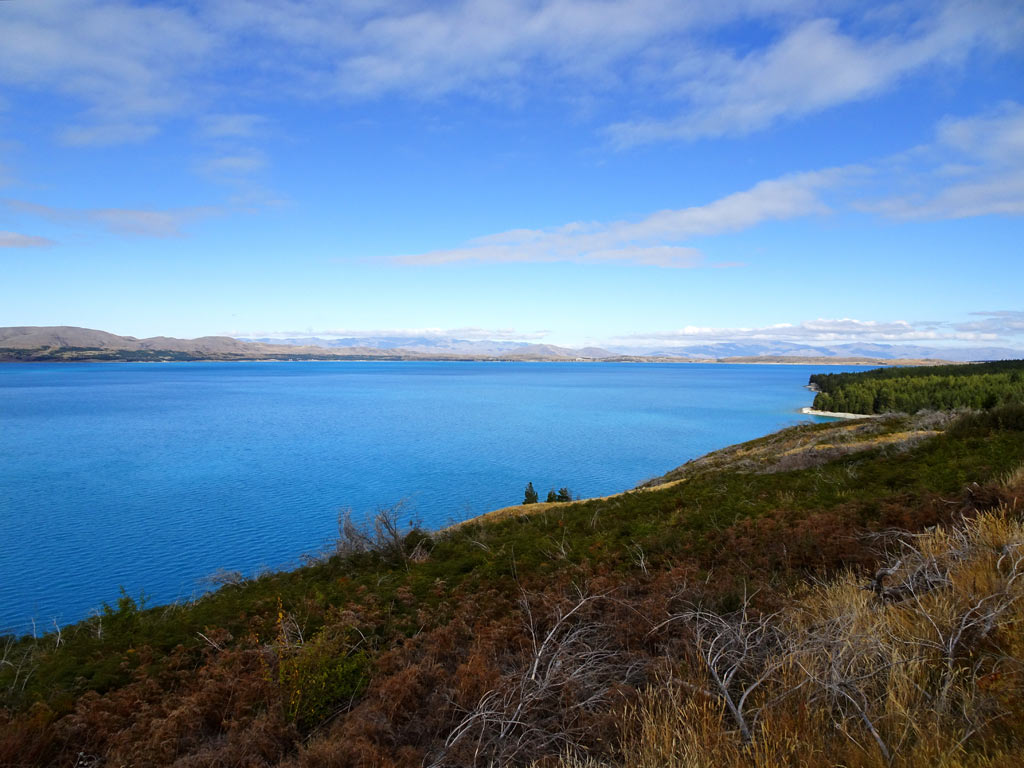 Blick auf den Lake Pukaki vom Westufer