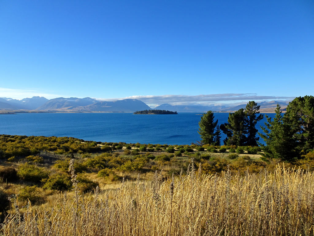 Blick auf den Lake Tekapo vom Ostufer