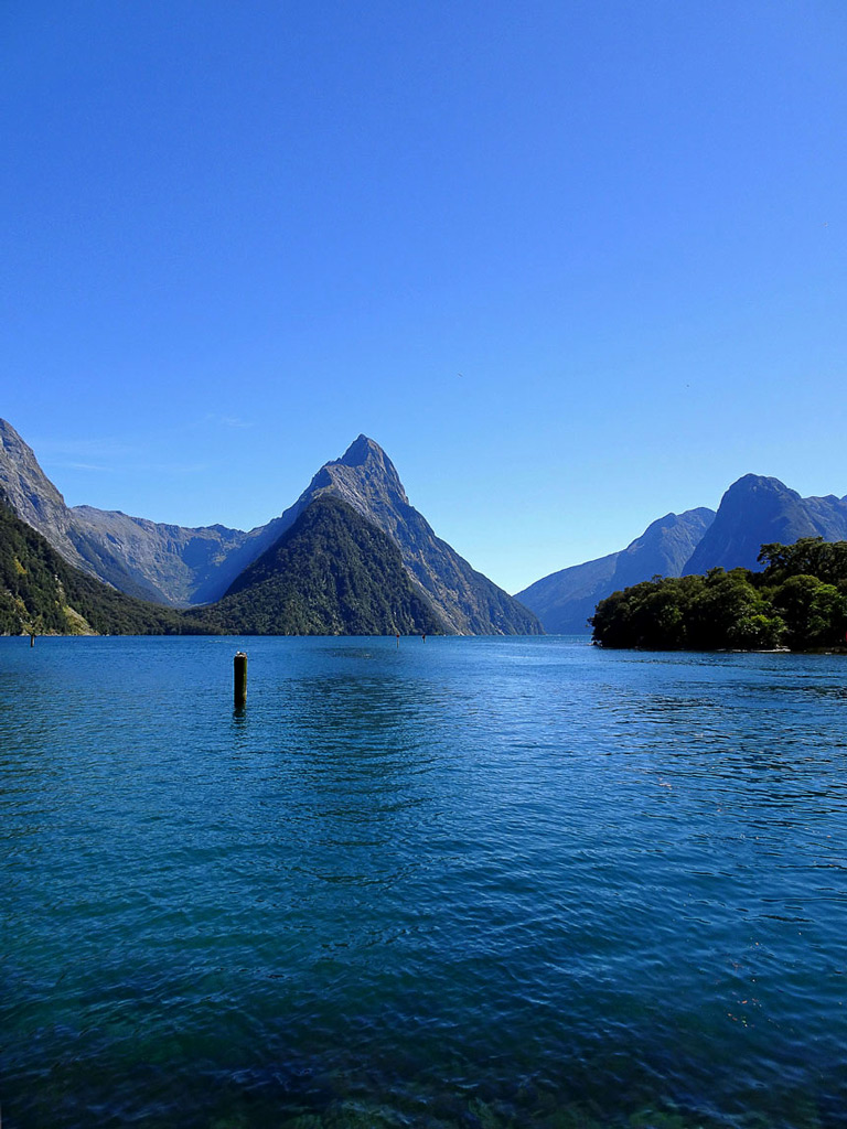 Beste Reisezeit Neuseeland: Milford Sound bei Sonnenschein