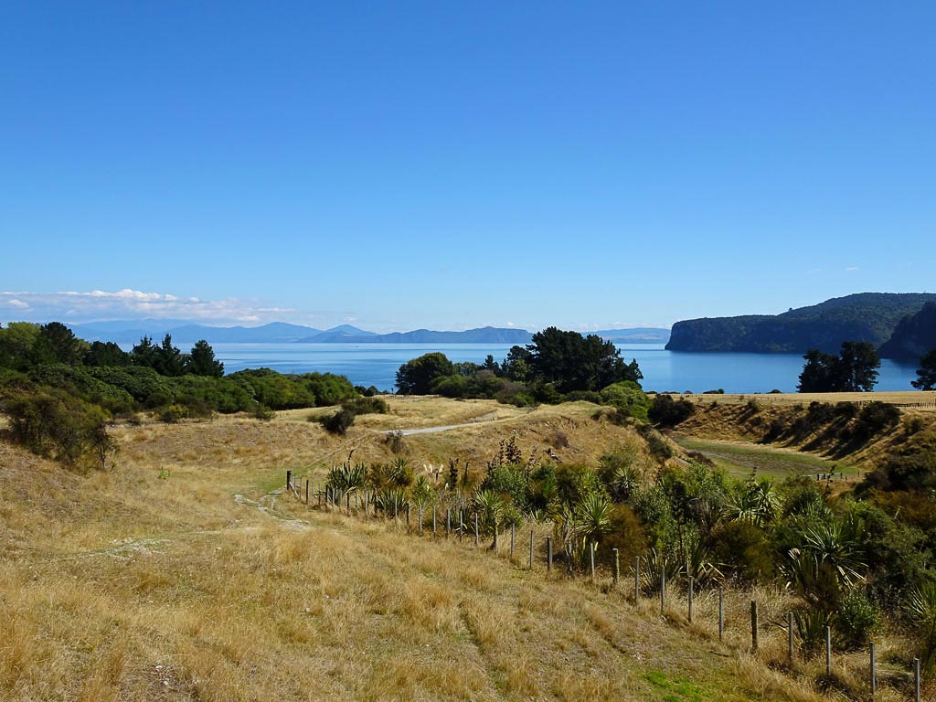Ausblick auf die Whakaipo Bay und den Lake Taupo