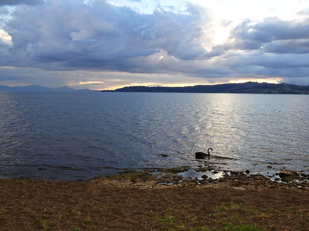 Abendstimmung am Lake Taupo