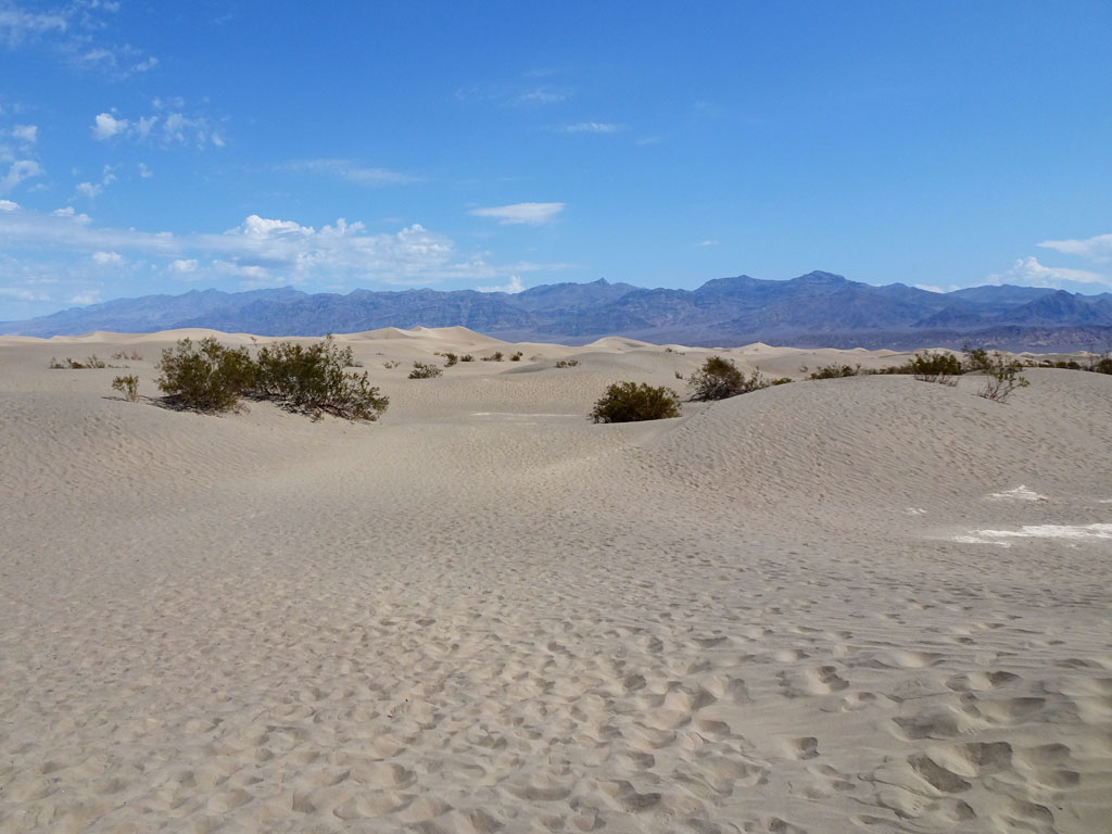 Mesquite Sanddünen im Death Valley, Südwesten der USA