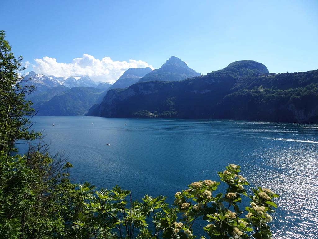 Vierwaldstättersee mit Blick auf den Urnersee, schönste Seen der Schweiz