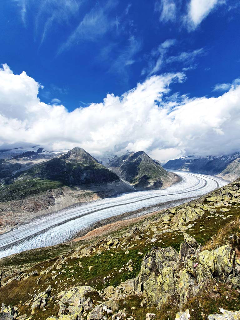 Ausblick vom View Point Bettmerhorn auf den riesigen Eisstrom Aletschgletscher