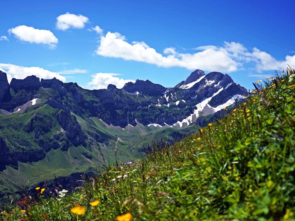 Blick auf den Altmann, zweithöchsten Berg im Alpstein, von der Schäfler Wanderung