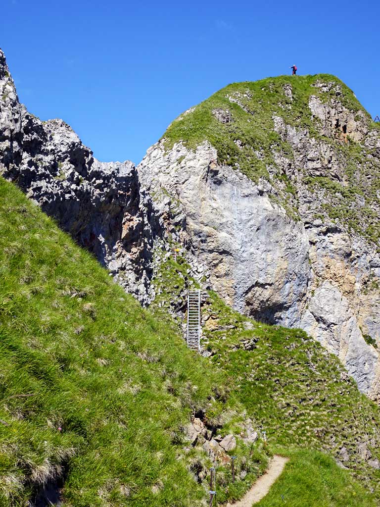Schäfler Gipfel im Alpstein, Schäfler Wanderung
