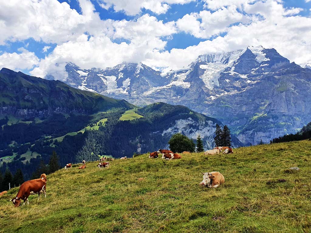 Traumhafter Ausblick von der Grütschalp auf Eiger, Mönch und Jungfrau, Ausflugsziele Berner Oberland