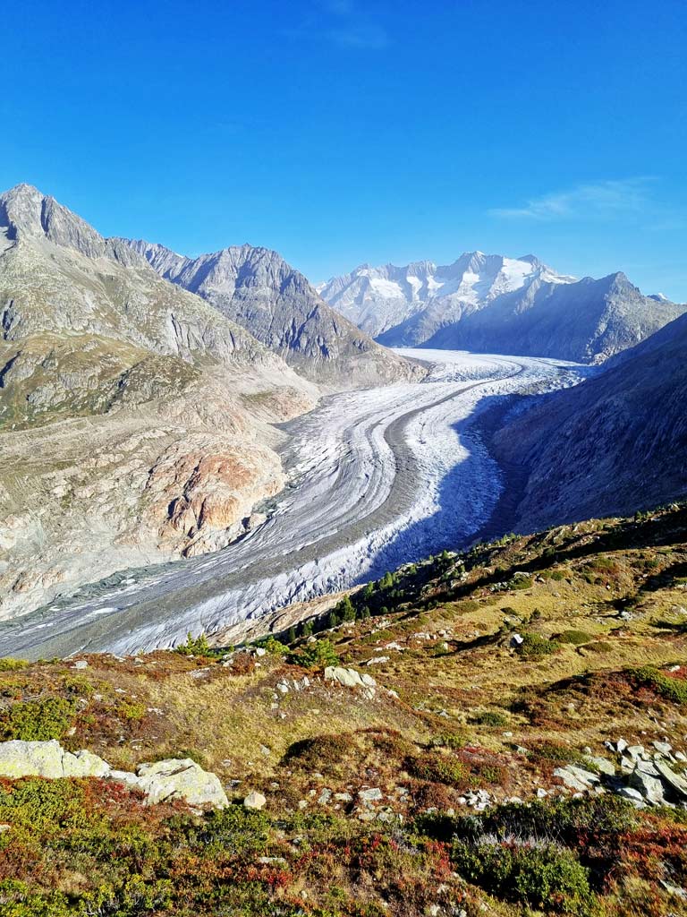 Aletschgletscher Aussichtspunkte: Ausblick von Moosfluh auf den unteren Teil des Aletschgletschers