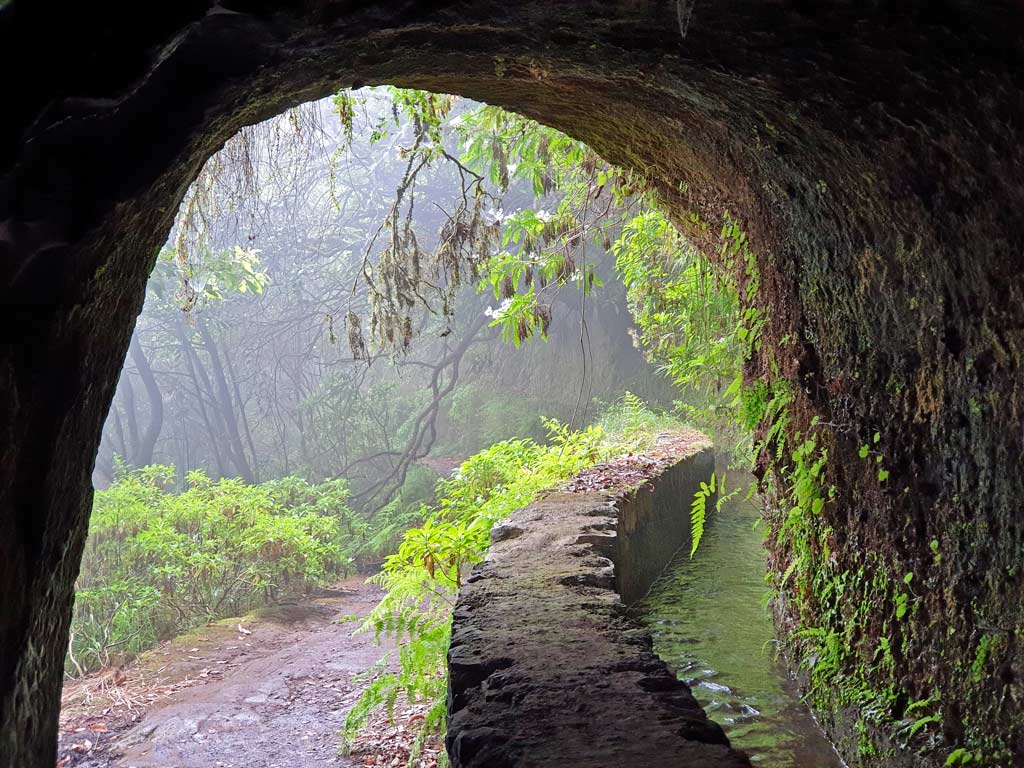 Wer auf Madeira wandern möchte, muss manchmal einen finsteren Tunnel durchqueren.  
