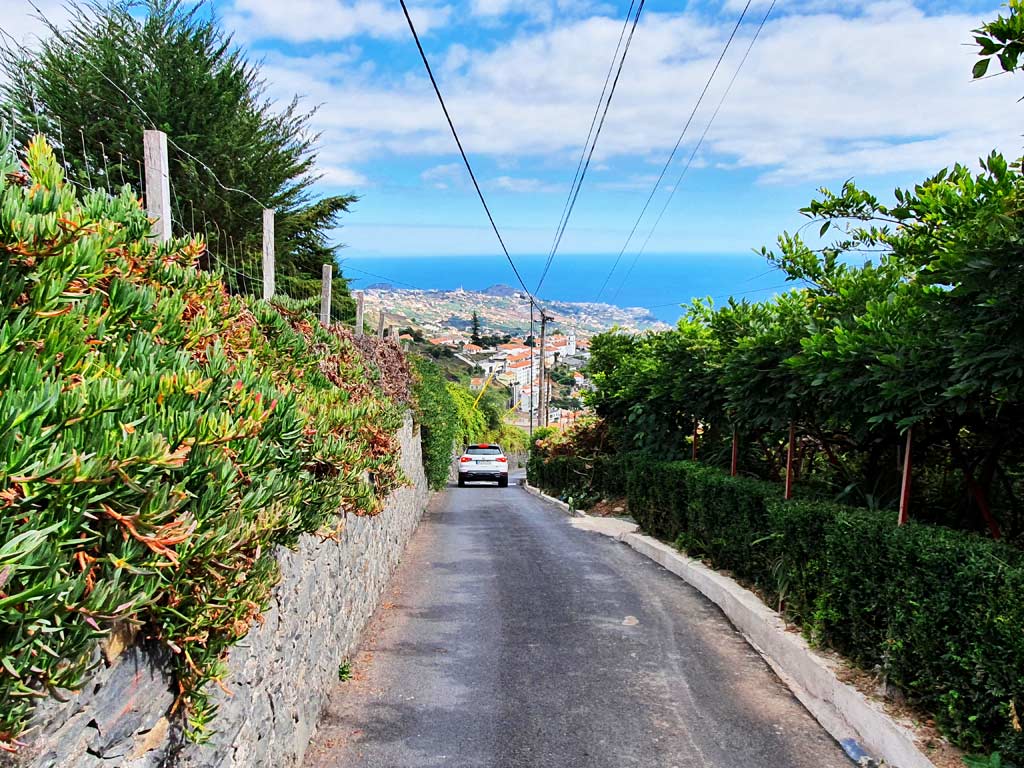 Auto mieten auf Madeira: Schmale Strasse mit Gegenverkehr