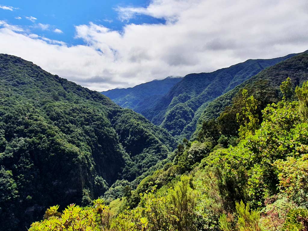Madeira Aktivitäten: Schaut euch die weitläufigen, mit Lorbeerwäldern gesäumten Täler der Insel an