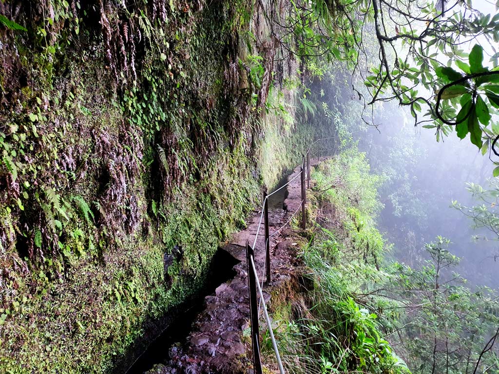 Levada Wanderungen führen häufig an steilen Felswänden entlang.