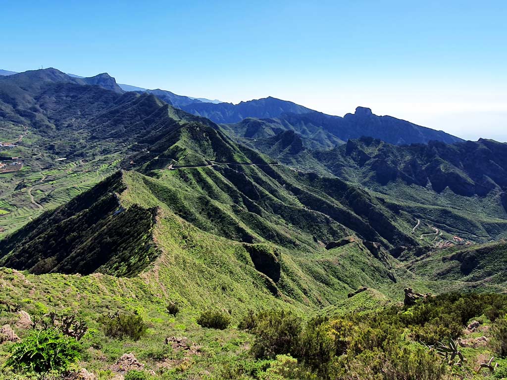 Ausblick auf das grüne Teno-Gebirge mit der berühmten Masca Schlucht