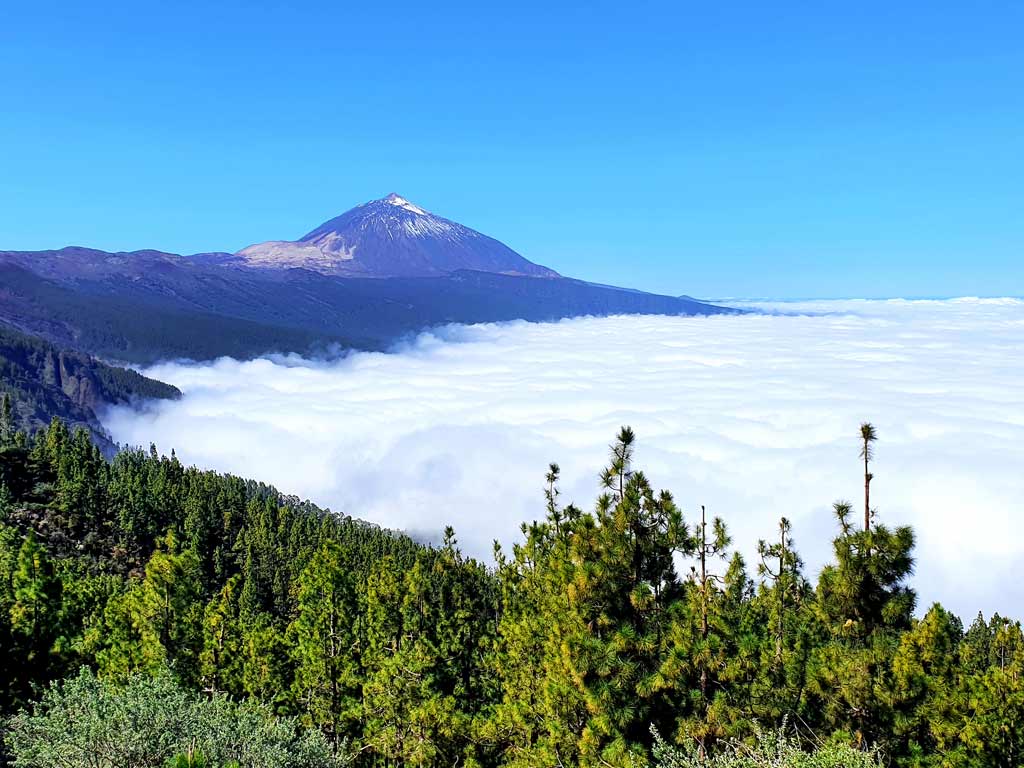 Wolkendecke Teneriffa im Winter: Blick auf den Pico del Teide
