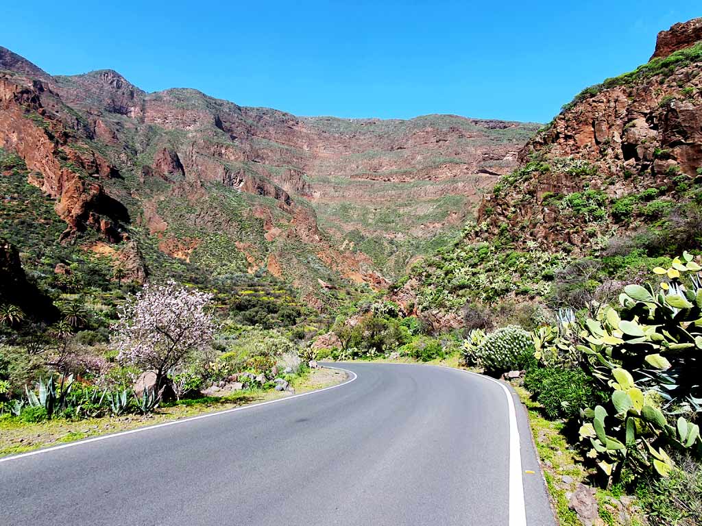 Auto mieten Gran Canaria: Gut ausgebaute Strasse im Barranco de Guayadeque