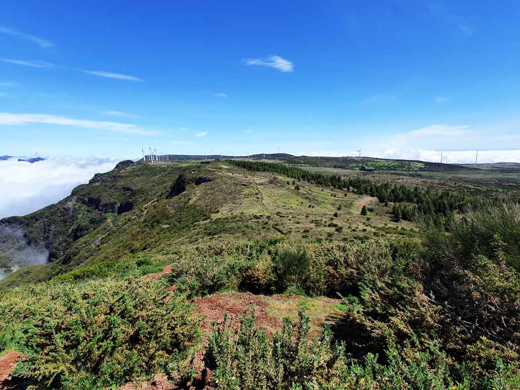 Hochebene Paul da Serrra auf Madeira im Frühling oberhalb des Wolkenmeers