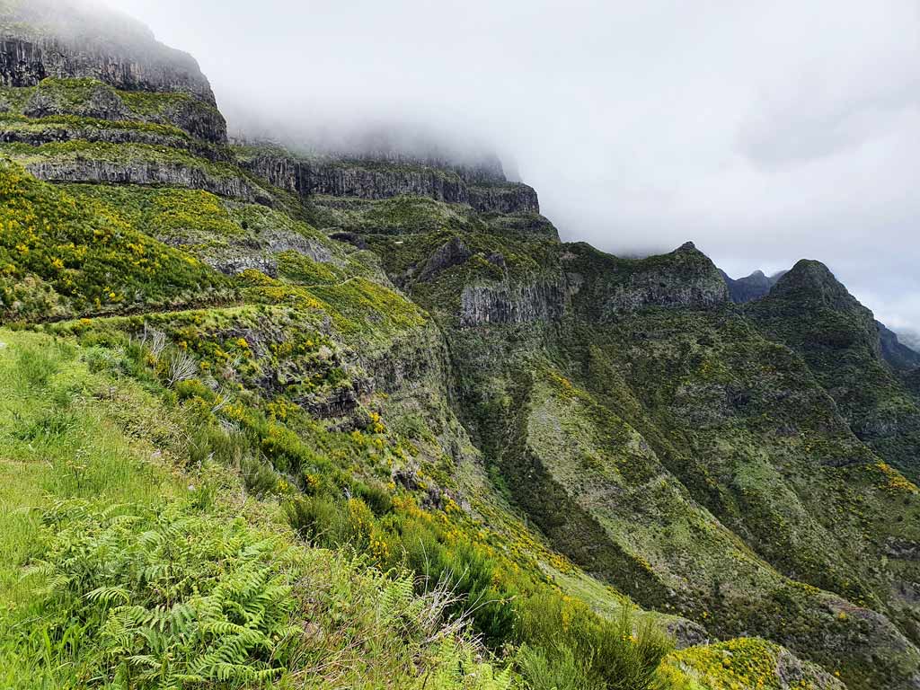 Madeira im Frühling: Wolkenverhangenes Inselzentrum mit gelb blühendem Ginster
