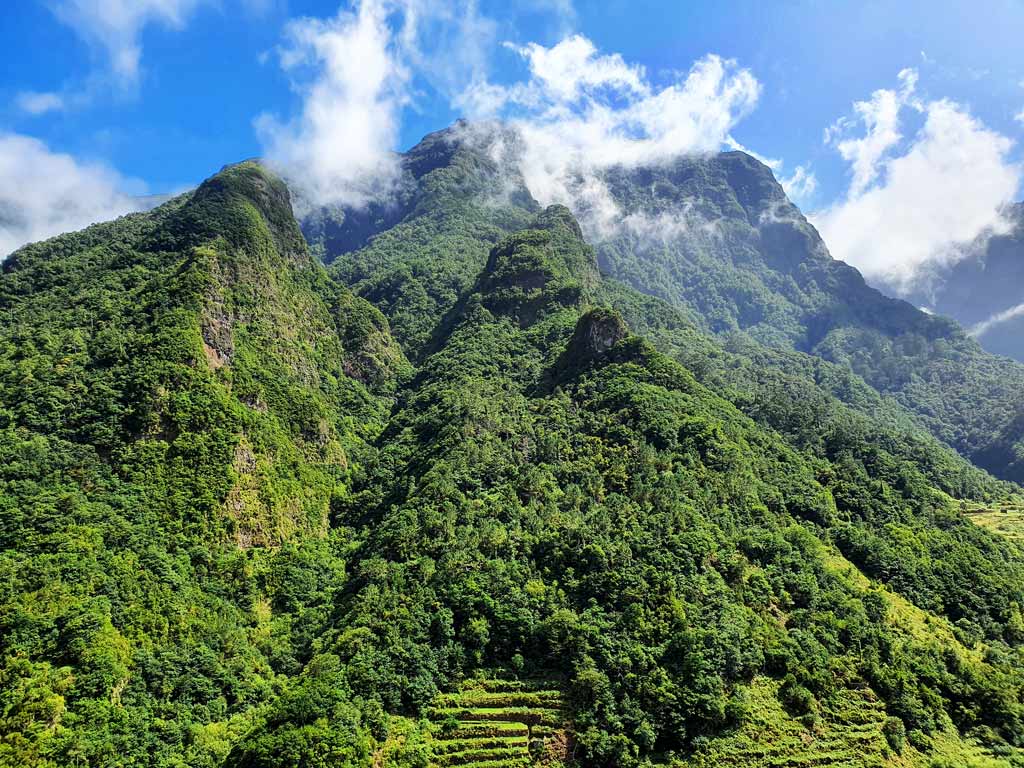 Madeira im Frühling: Herrliche Aussicht auf mit Lorbeerwäldern überwachsene Bergflanken im Norden der Insel