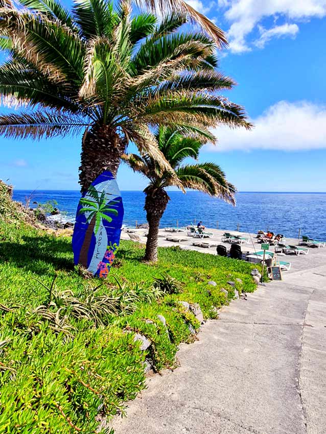 Palmen auf der Fajã dos Padres Madeira