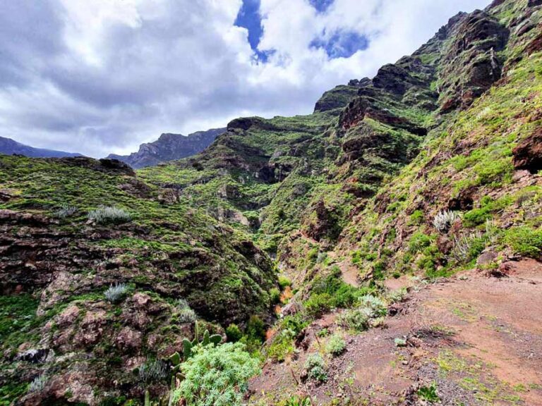 Teneriffa wandern: Die 6 schönsten Wanderungen der Vulkaninsel