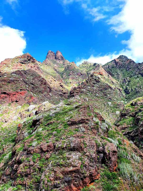 Teneriffa wandern im Anaga-Gebirge: Felsformationen im Barranco de Afur