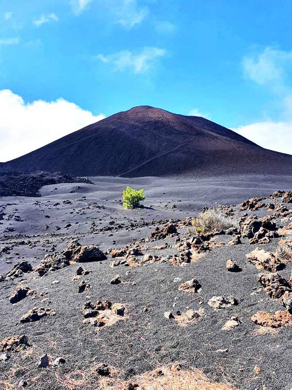 Teneriffa wandern: Ausblick über die jüngste Vulkanlandschaft Teneriffas auf den Vulkan Chinyero