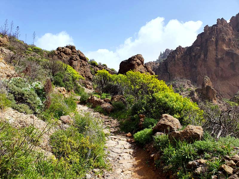 Wanderweg im Zentrum von Gran Canaria im Winter