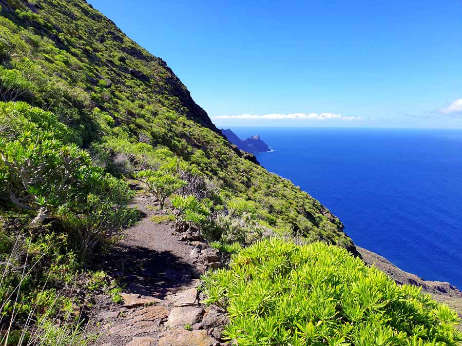 Wanderweg entlang der grünen Küste Gran Canarias im Winter