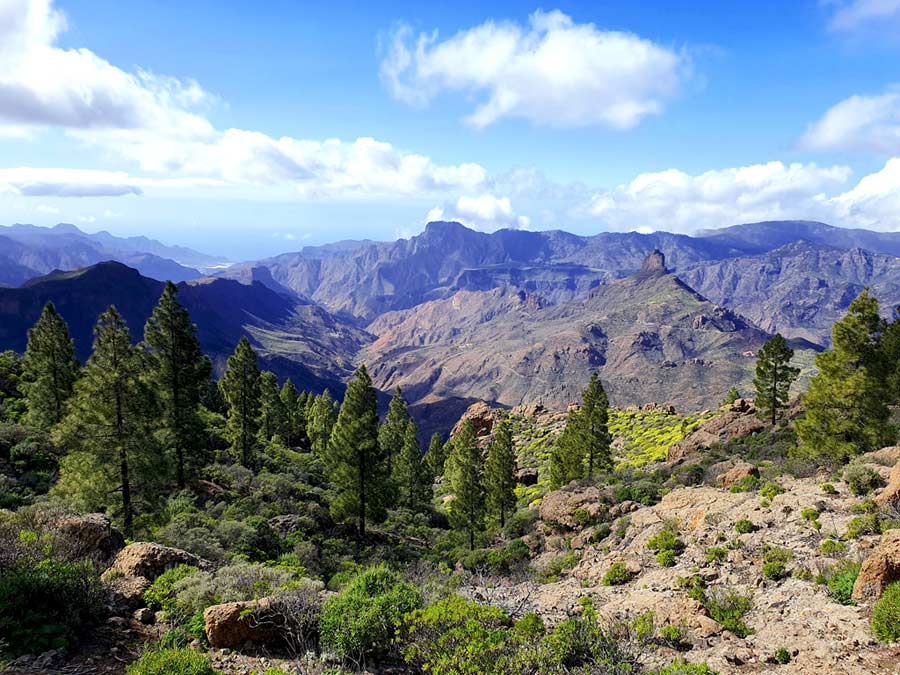 Ausblick auf den Talkessel von Tejeda auf Gran Canaria im Winter