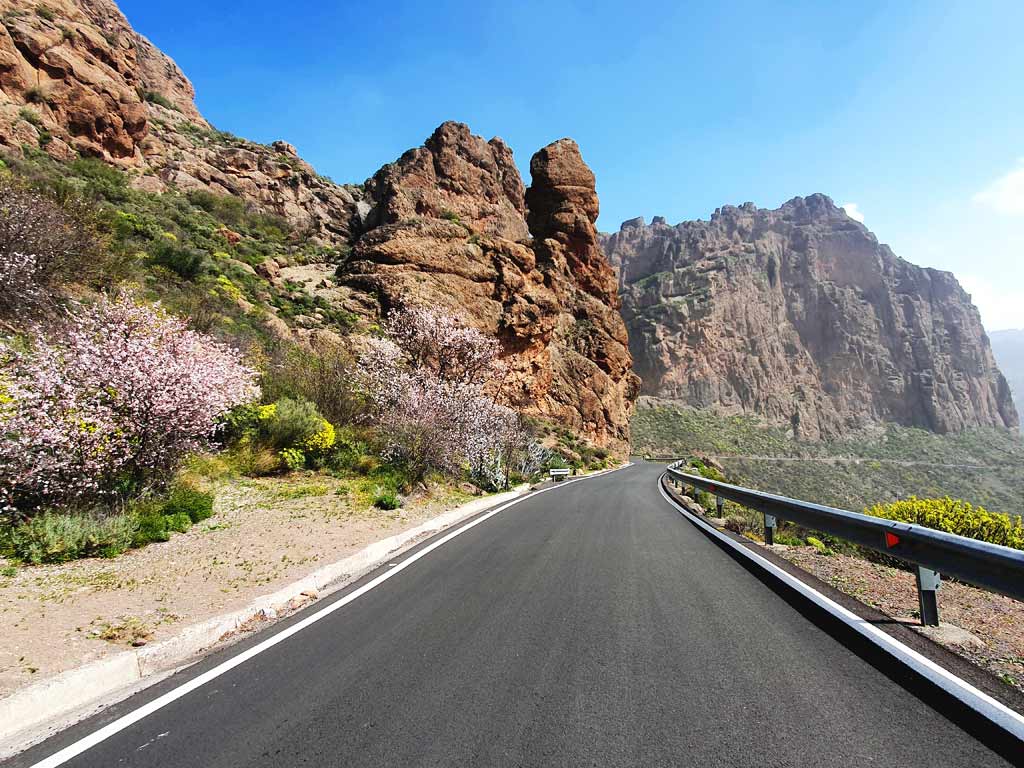 Inselzentrum Gran Canarias mit Mandelblüten am Strassenrand im Winter.