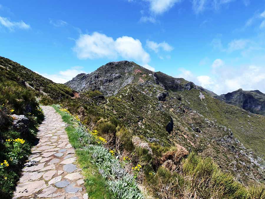 Madeira im September Erfahrungen: Im Mai hingegen ist die Vegetation deutlich trockener