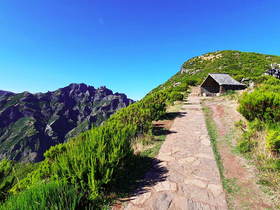 Madeira im September Erfahrungen: Die Vegetation im Zentralgebirge auf Madeira im September ist besonders grün