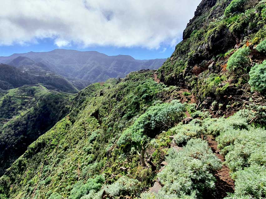 Wanderausrüstung Teneriffa: Exponierter, schmaler Wanderpfad, der ein gutes Schuhwerk erfordert