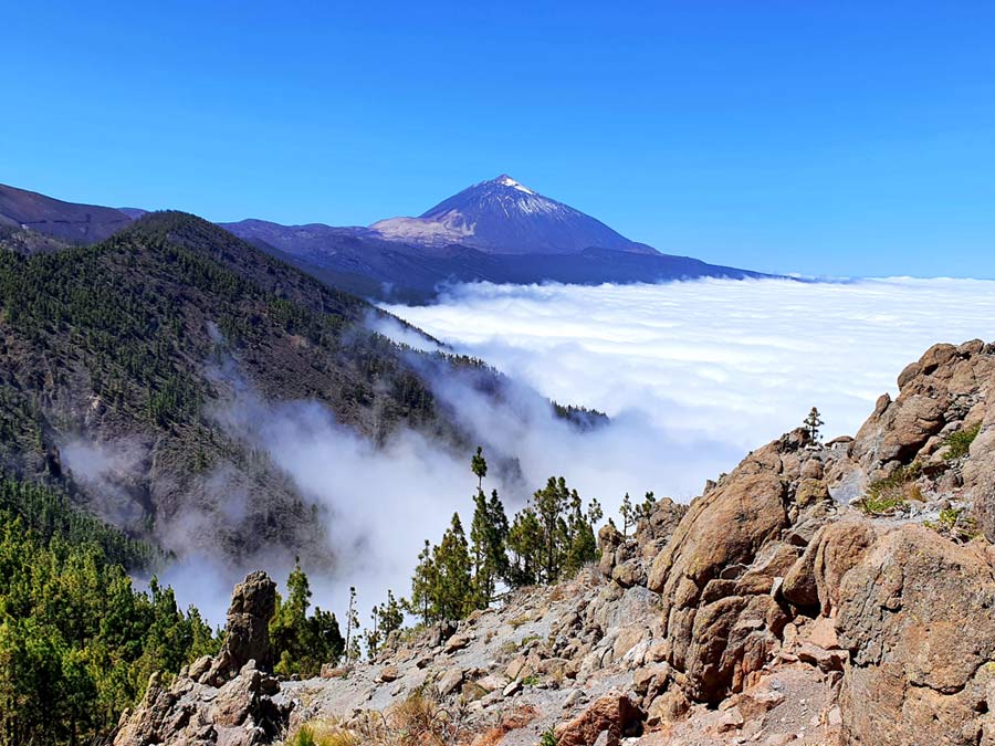 Teide Nationalpark Zufahrtsstrasse: Aussichtspunkt am Strassenrand der TF-24 mit Blick über das Wolkenmeer im Norden Teneriffas auf den Teide Vulkan