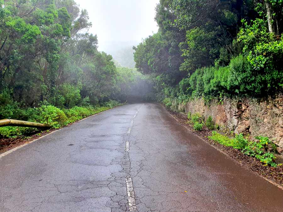 Strasse im Anaga-Gebirge auf Teneriffa mit Nebel