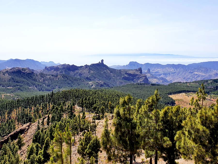 Gran Canaria wandern Pico de las Nieves Wanderung: Ausblick über das Zentrum von Gran Canaria mit verwinkelten Schluchten und dem Roque Nublo bis zum Atlantik