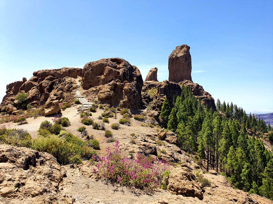 Gran Canaria wandern Roque Nublo Wanderung: Roque Nublo und Roque Rana «Froschfelsen»