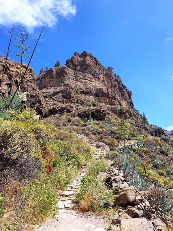 Gran Canaria wandern Ventana de Roque Nublo Wanderung: Gut ausgebauter Wanderweg Camino de la Plata